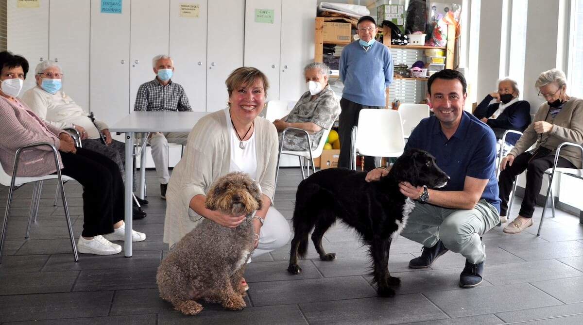 intervención asistida perros mayores portugalete