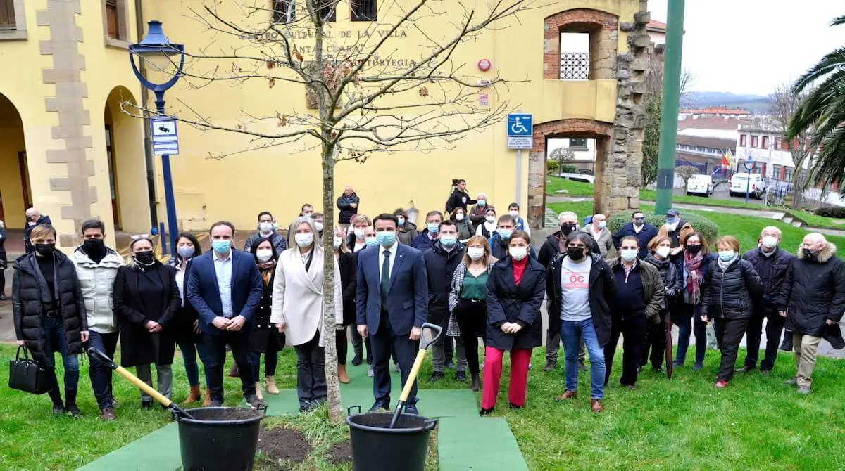 plantación retoño gernika 700 portu