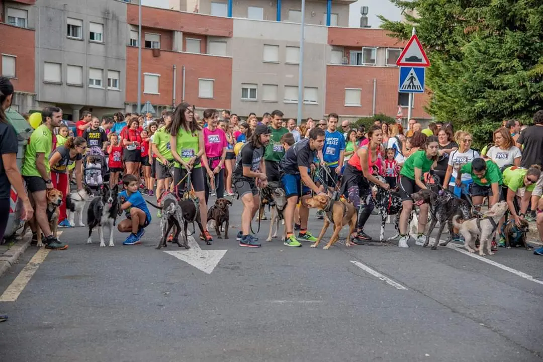 La organización, muy satisfecha con la gran afluencia