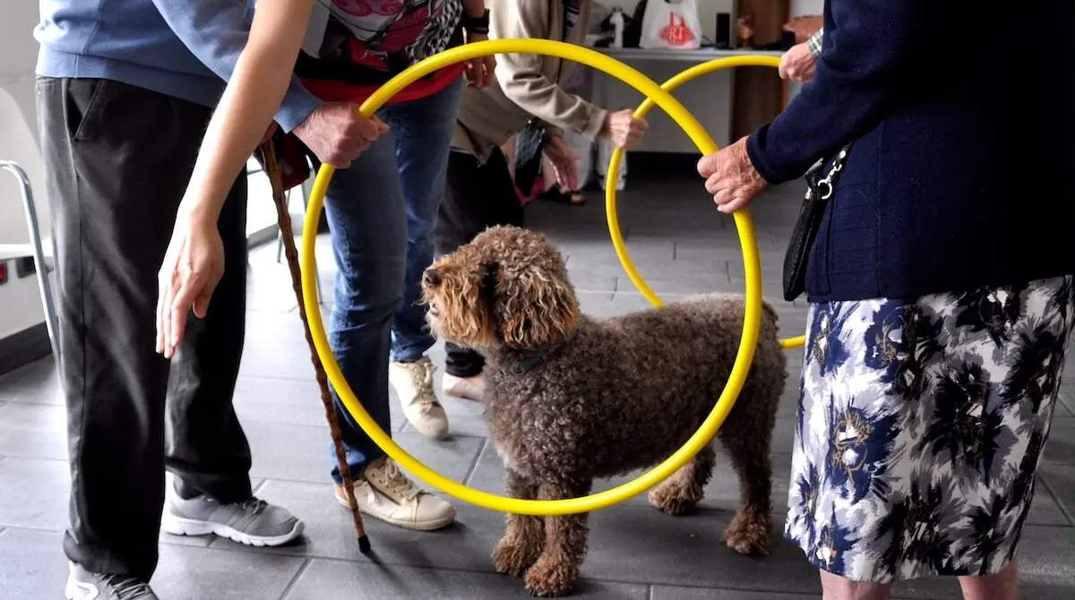 mayores-perros-portugalete
