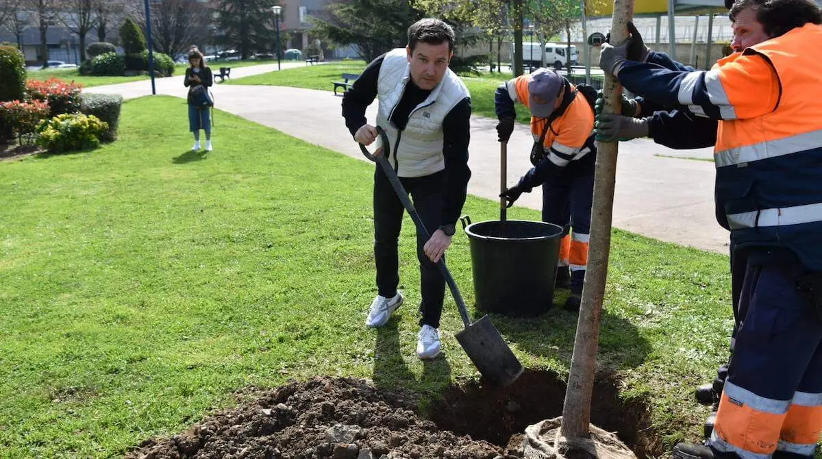 plantacion-arbol-asia-portugalete