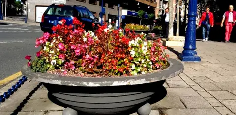 Se plantar&aacute;n en las jardineras y parterres de la villa