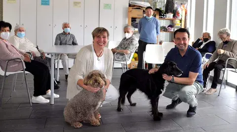 intervenci&oacute;n asistida perros mayores portugalete