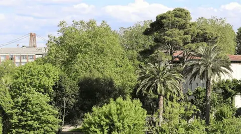 portubizi-arbol-favorito (1)