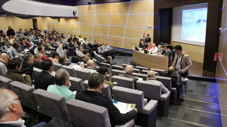 Las jornadas se han llevado a cabo en el auditorio del Hospital Universitario de Cruces, en Barakaldo
