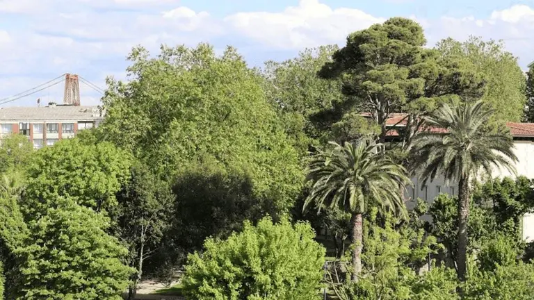 portubizi-arbol-favorito (1)